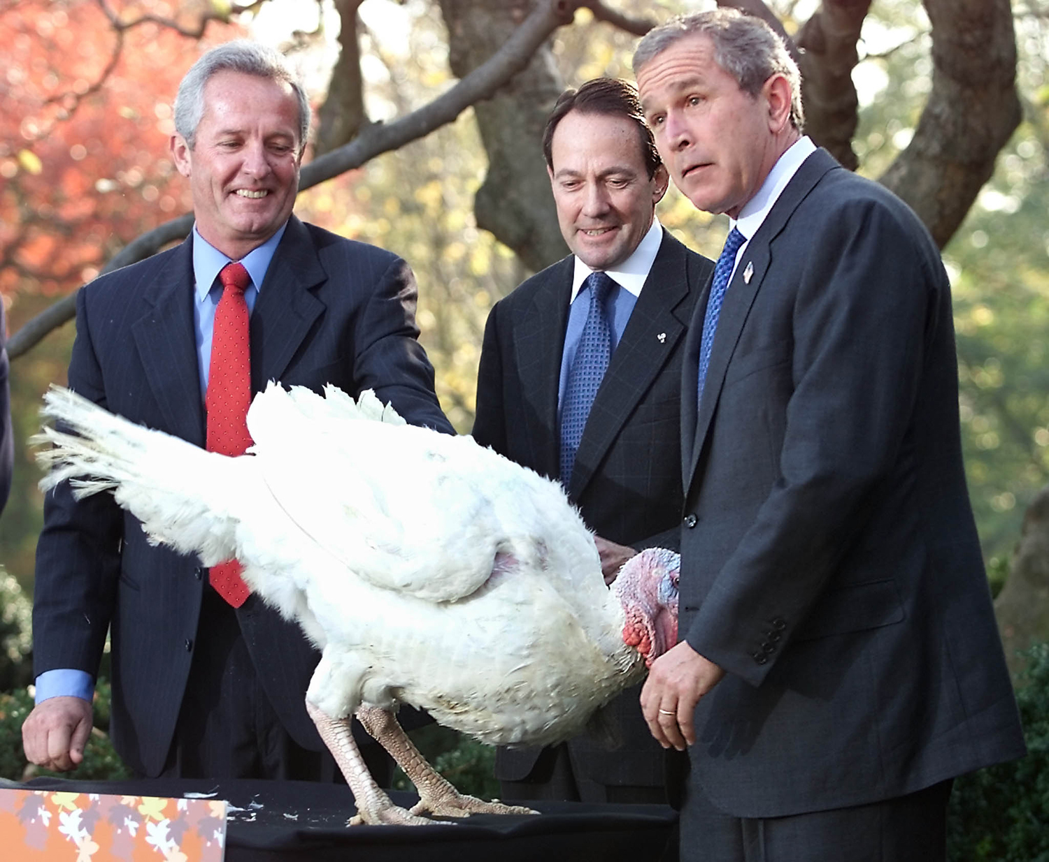 Resultado de imagen para bush thanksgiving turkey