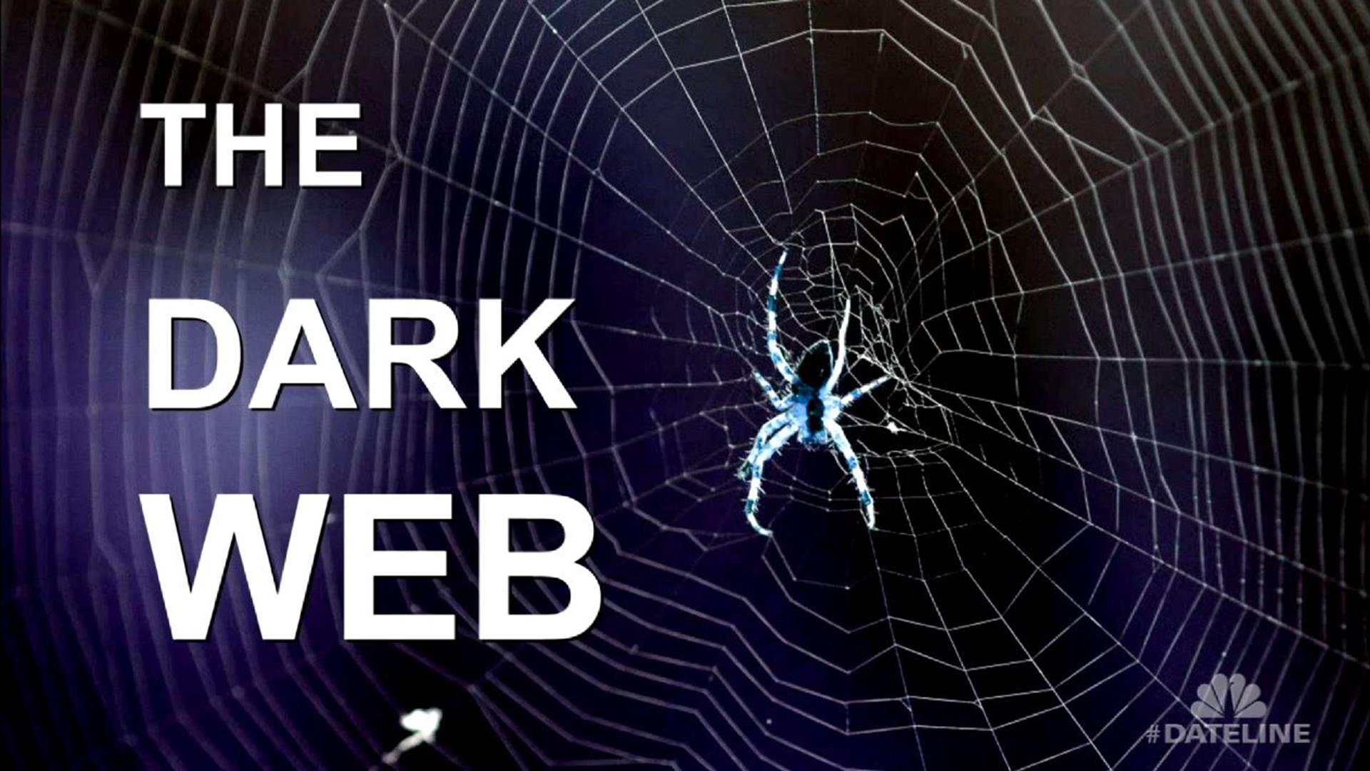 Discover the Hidden World of Dark Web Money Trading