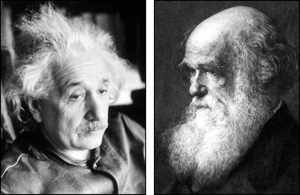 Einstein and Darwin: A tale of two theories
