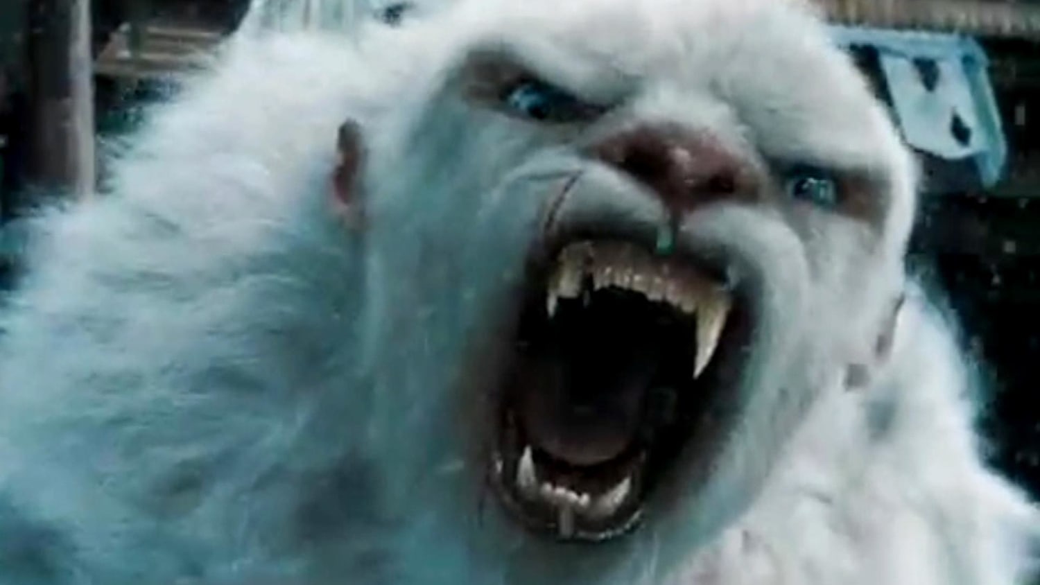 himalayan-yeti-mystery-looks-even-less-mysterious-scientists-argue