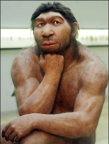 Neanderthals Done In By Competition Technology Science Science Discoverynews Com Nbc News