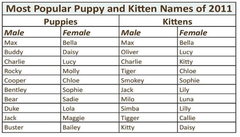 Male Aristocrat Cat Names