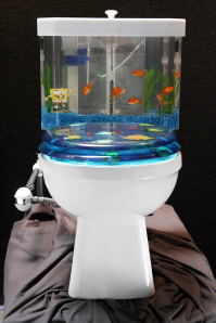 toilet fish flush aquarium topper tank through fishes cool lets clear smallest renovators chance bring looking business