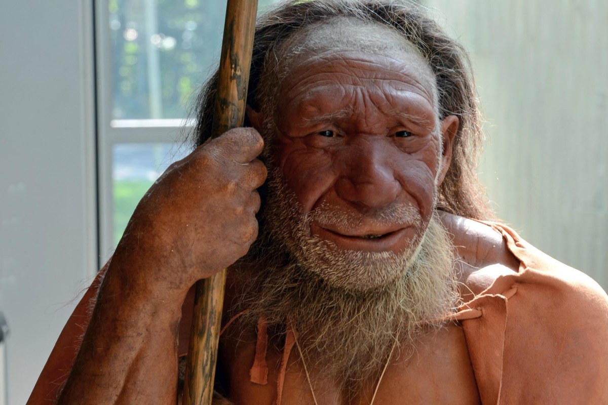 Which Parts of Us Are Neanderthal? Genes Point to Skin and ...