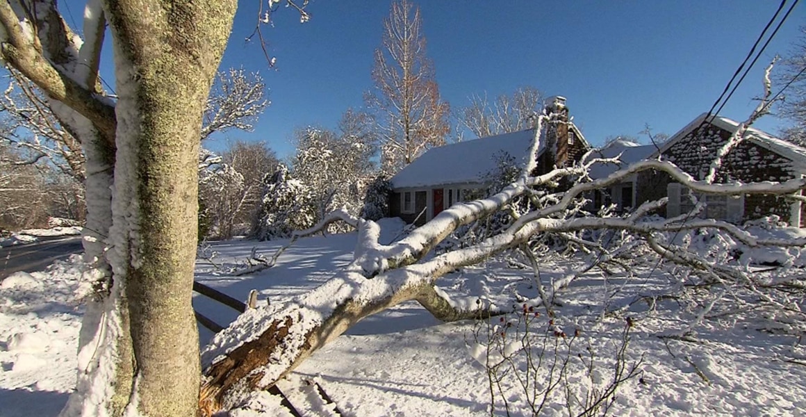 Image: A tree fell toward a house in Sandwich, Mass.
