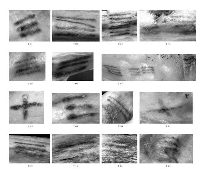 Image: The 61 lines that make up the tattoos on Ötzi, a 5,300-year-old iceman 