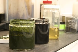 Image of algae, bio-crude, gas