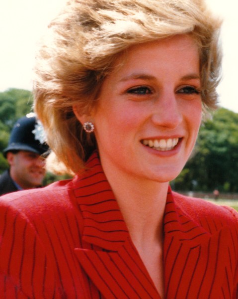 2D274905928240-diana3.today-inline-large.jpg