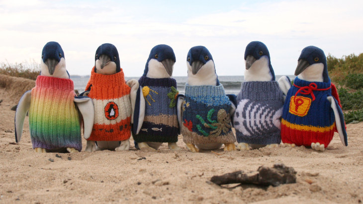 Little Penguins in knitted sweaters