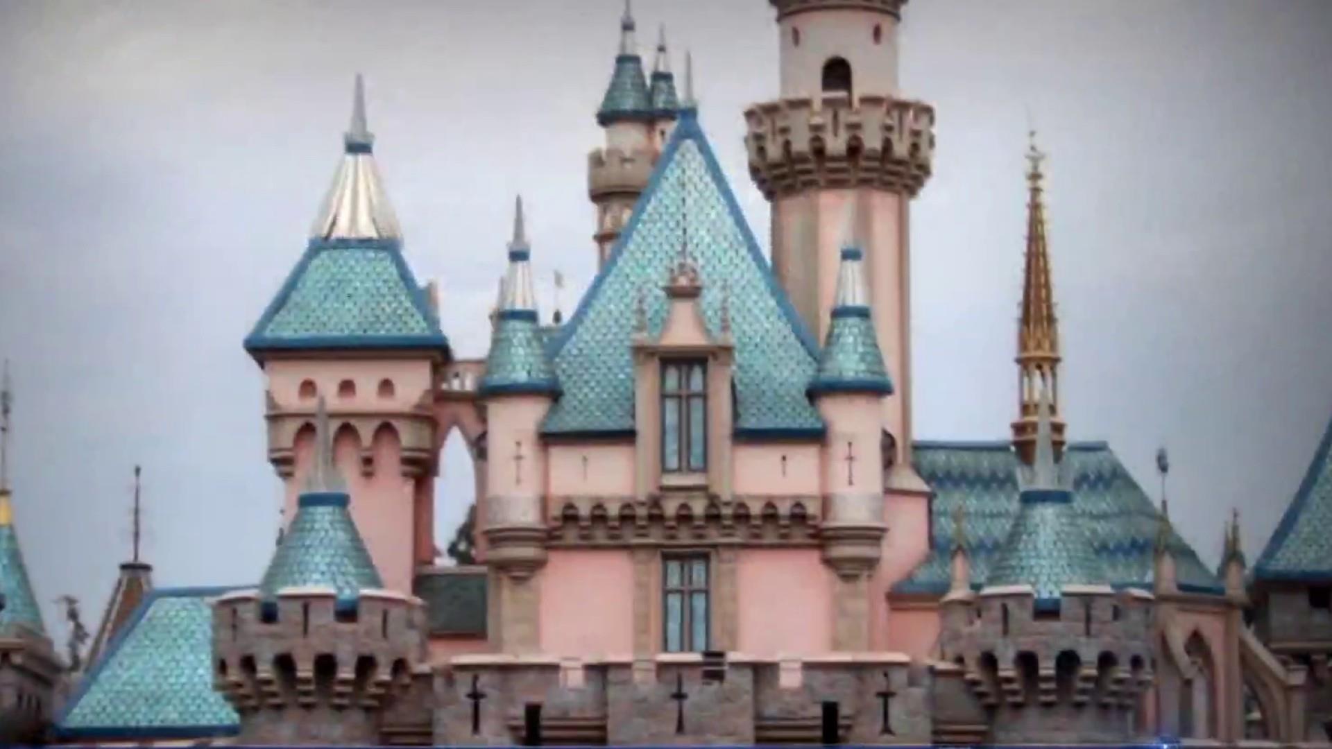 Power outage hits Disneyland during busy season