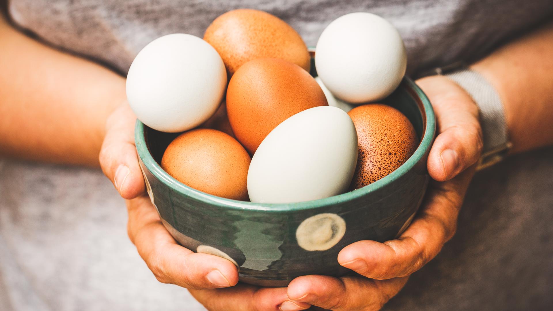 Are eggs bad for you? Scientists explain if eating eggs every day is healthy