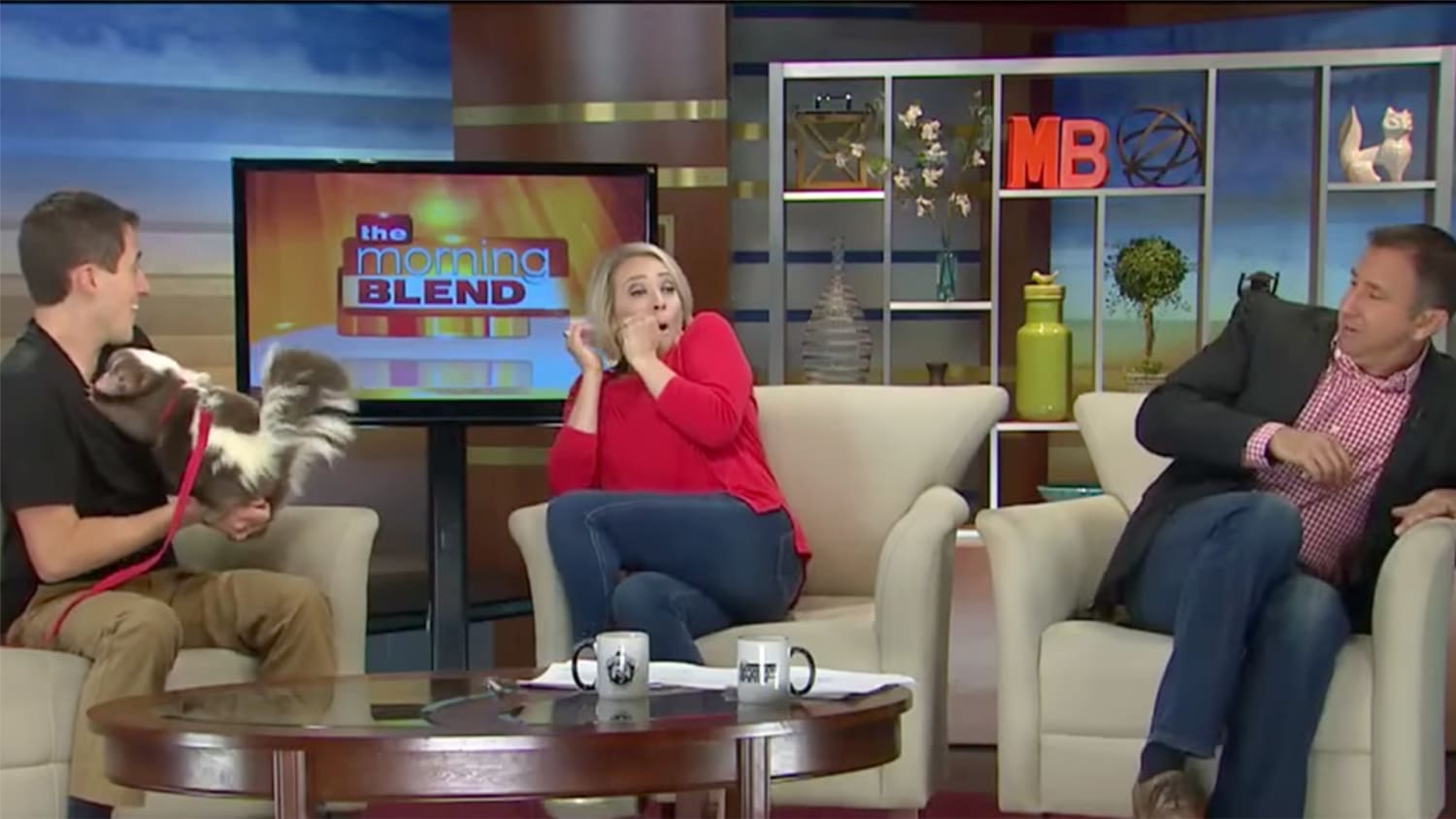 Watch TV anchors shriek after skunk spray prank