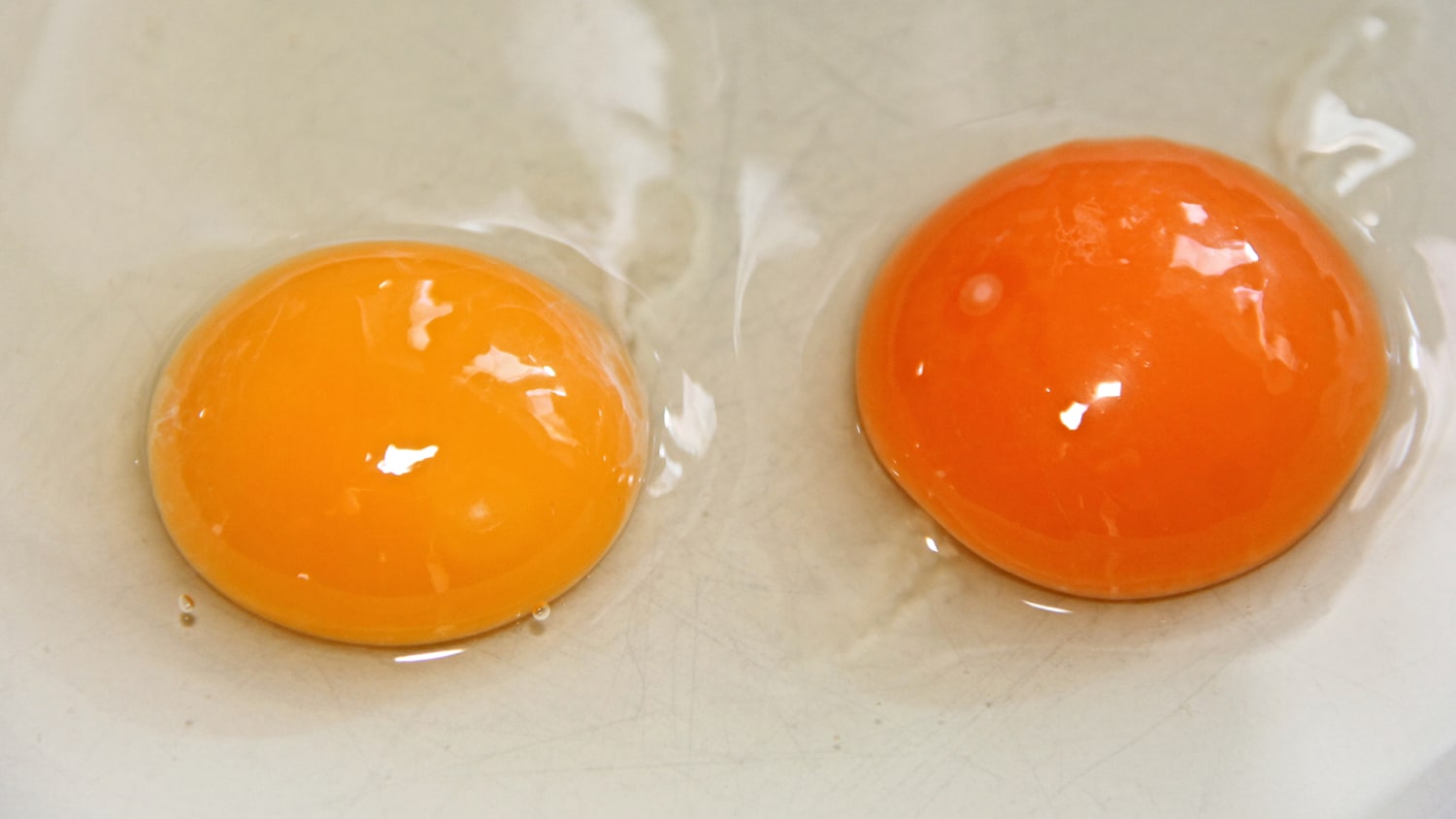 Download This is what the color of your egg yolk means - TODAY.com