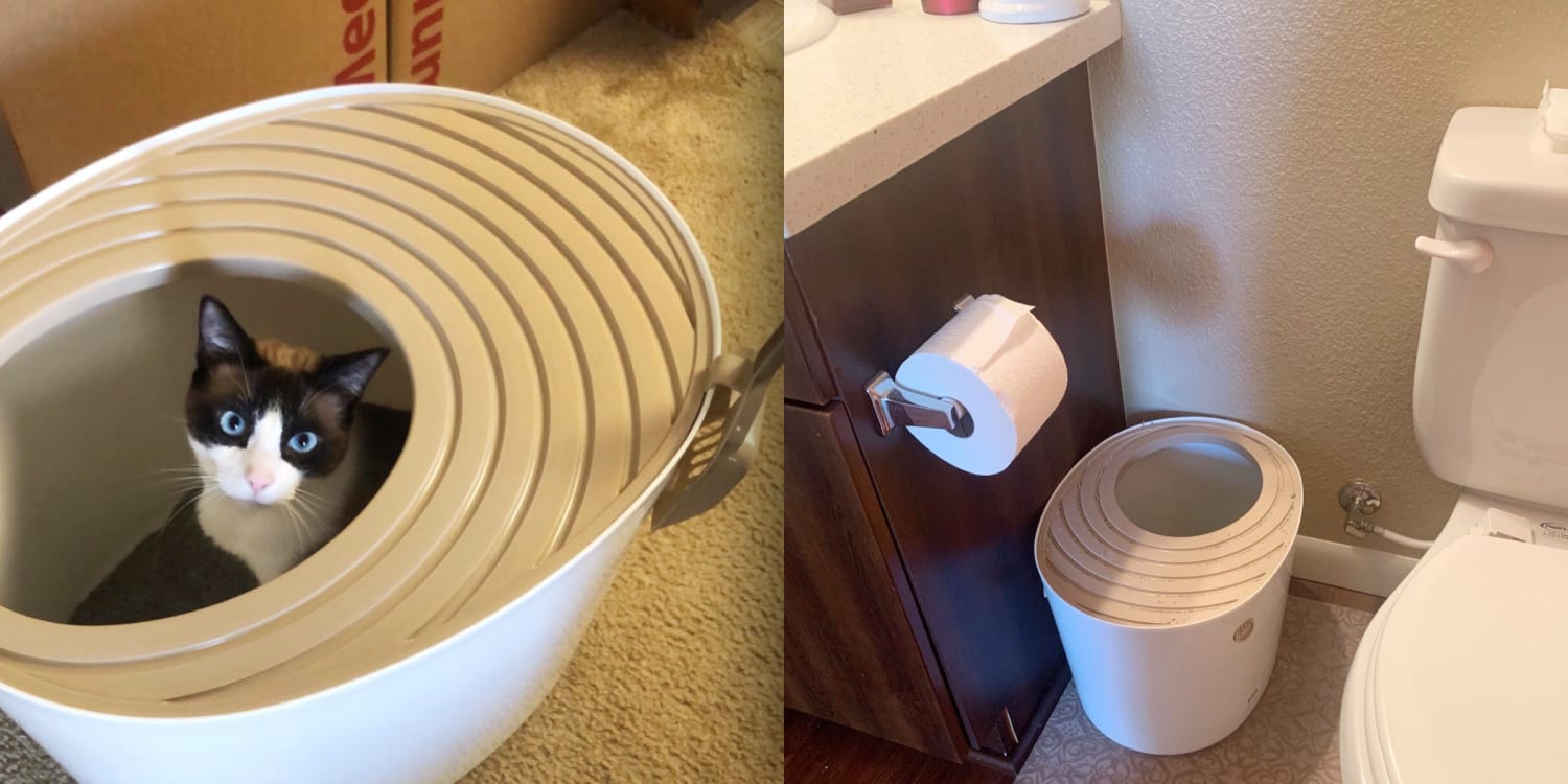 This unique litter box has saved me 