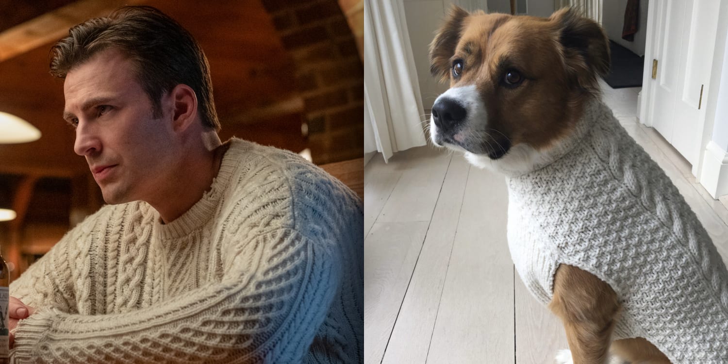 Chris Evans' dog looks amazing in his own matching 'Knives Out ...