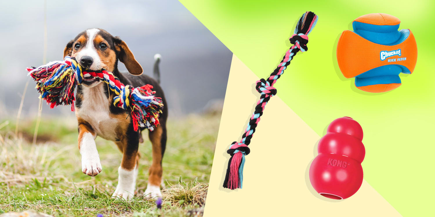 The Fable Twin Falcon Dog Toy Is Fun for Both Pets and Their Owner