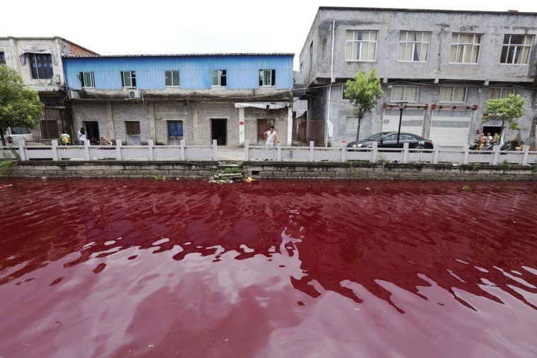 Baffled locals who used to boast that they had one of the healthiest rivers in China because there were no factories along its banks were baffled when within the space of an hour the river turned a deep, dark red.

Clear plastic bottles dipped into the water at Xinmeizhou village in Cangnan county in eastern China's Zhejiang province quickly filled up with the red coloured liquid which had a strange smell, according to villagers.

Local Na Wan said: "A few people that were up and about at 5 AM said that everything was normal but then suddenly within the space of a few minutes the water started turning darker and eventually was completely red.

"The really weird thing is that we have always been able to catch fish and you can even drink the water because it's just normally so good. Nobody has any idea how it could have ended up being polluted because there are no factories that dump anything in the water here."

Environmental experts were on the scene taking samples of the water and said that they suspected it was discharged from a die factory even though there was none in the area.

One expert said: "We suspect that maybe somebody drove here to dump stuff. We are looking further upstream to try and find out where the source was of this pollution."

