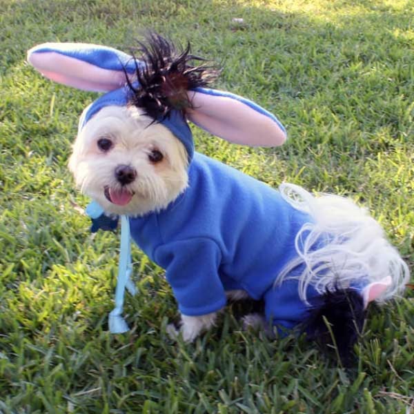  Halloween  dog  costume  ideas  32 easy cute costumes for 
