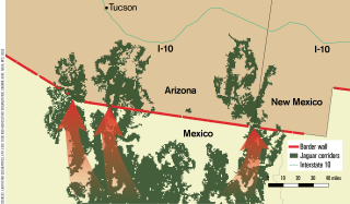 Image: Existing border wall and jaguar movement corridors