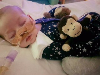 Trump Tweets Support for Terminally Sick Baby Charlie Gard