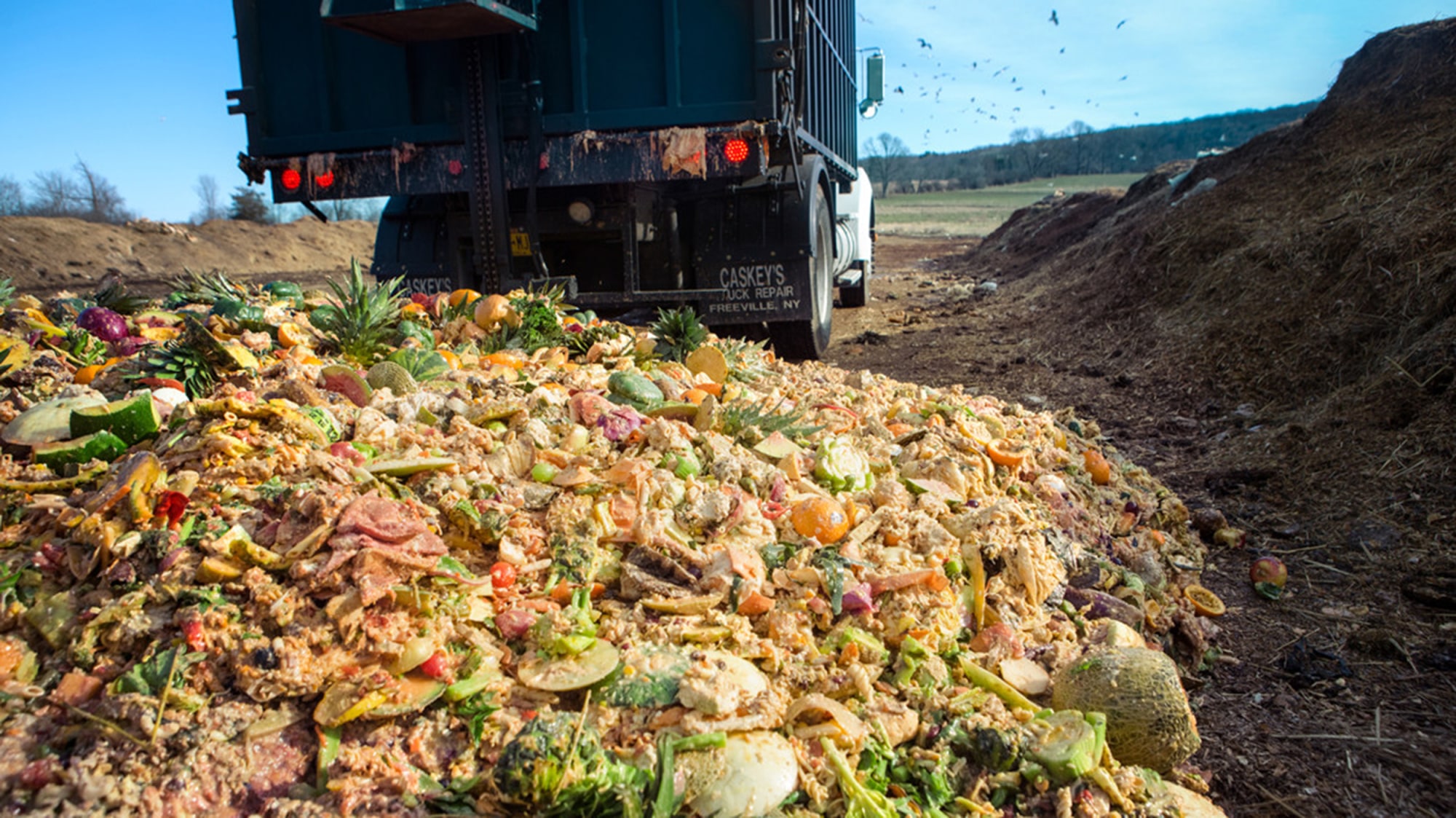 New York fights food waste with ambitious new plan