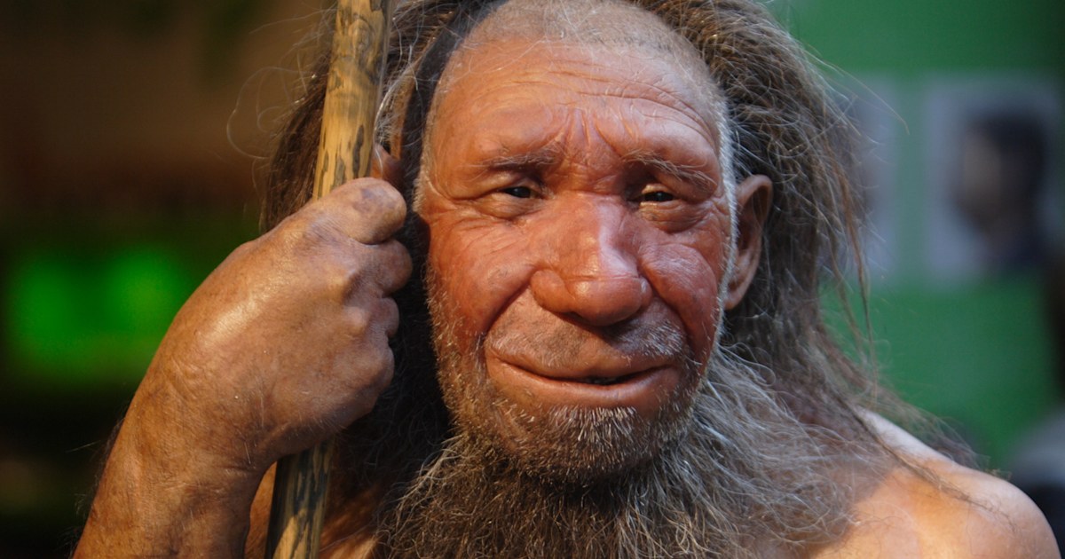 How much Neanderthal DNA do humans have? What does it mean?
