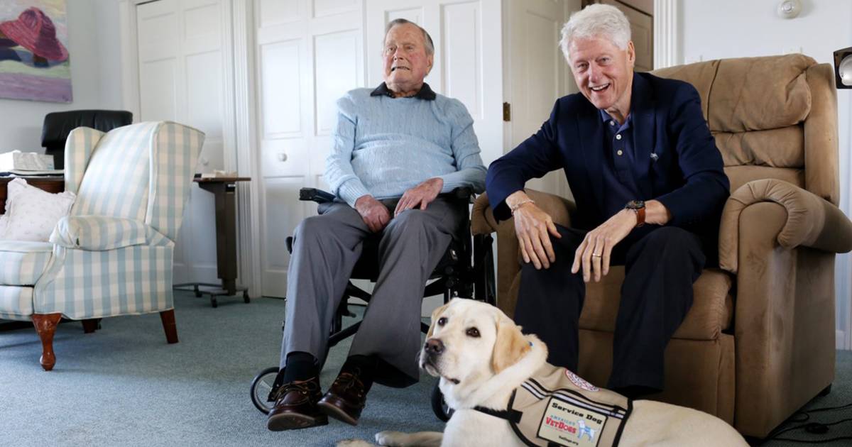 Former President George H.W. Bush welcomes new family member: Sully the dog