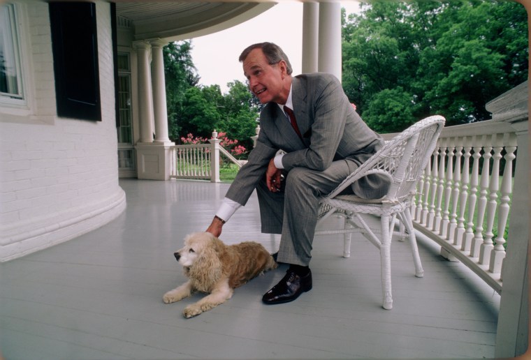 Image: Vice President George H.W. Bush with His Dog at the Vice President's Residence