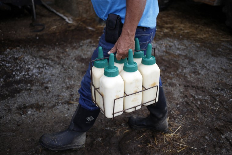   Image: Bob Klingenfus [19659004] Farmer Bob Klingenfus transports milk bottles to Harvest Home Dairy in Crestwood, Kentucky. </span><span class=