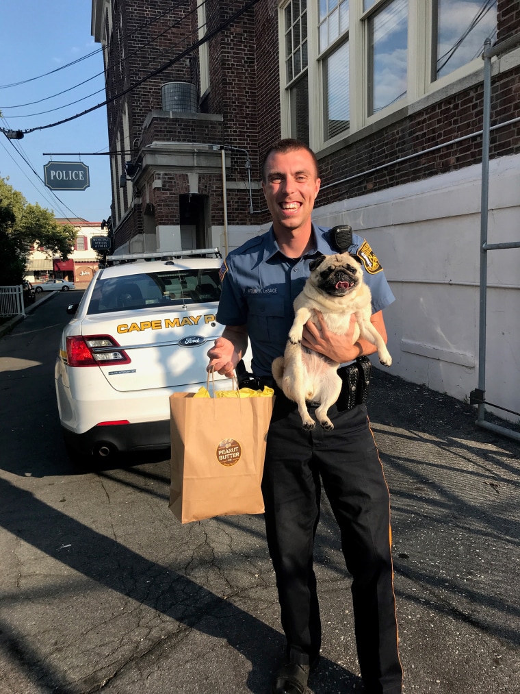Pug Shot of runaway dog with Cape May Police Department