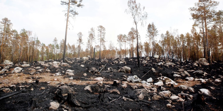 Image: Sweden wildfire