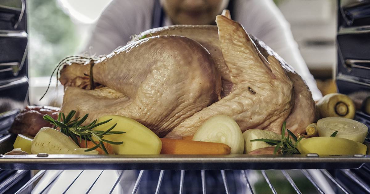 How to buy the best turkey for Thanksgiving