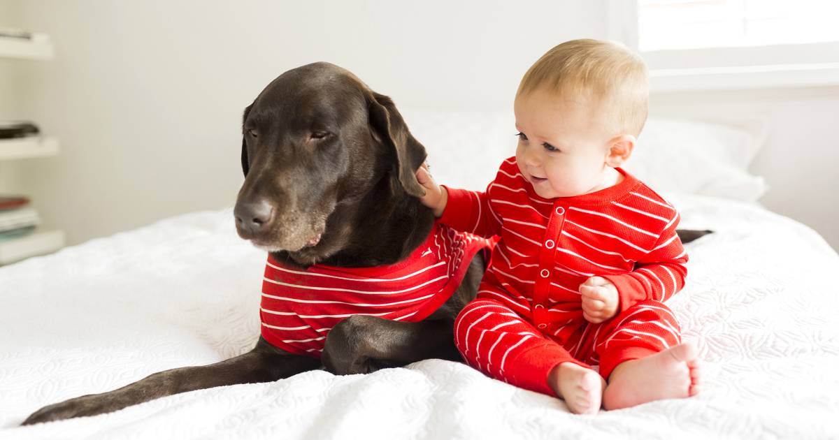Dog pajamas allow owners to curl up with their pets in matching outfits