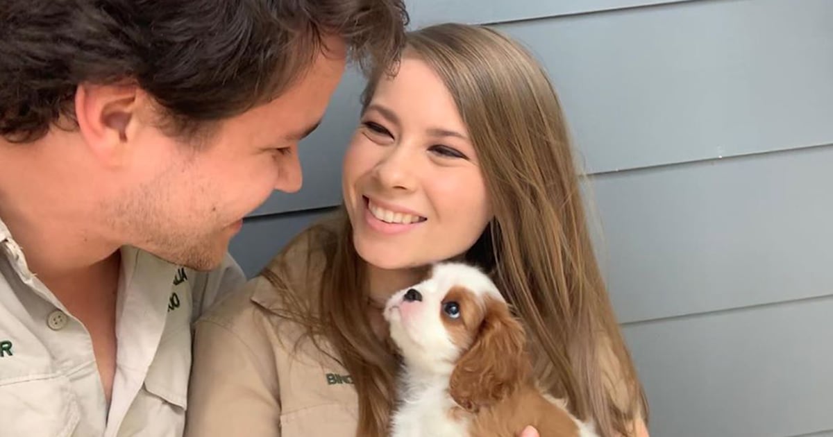 Bindi Irwin and fiancé Chandler Powell introduce their 'gorgeous' new puppy