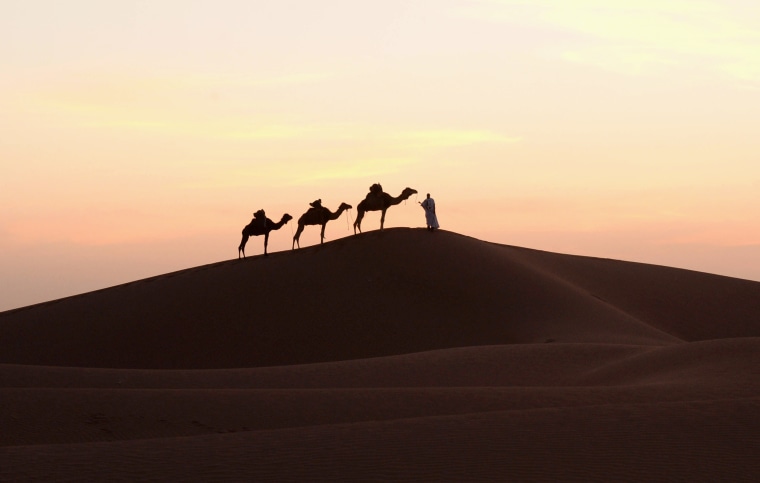 Image: A man walks with camels in the southern Sahara desert in Morocco on March 16, 2014.