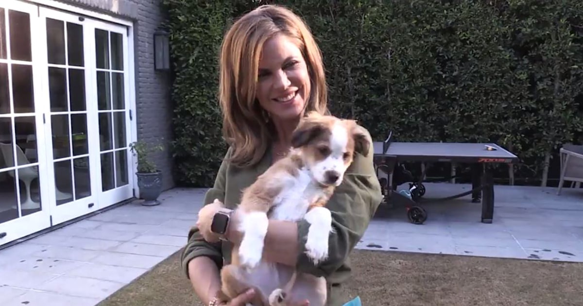 Meet Natalie Morales' new puppy at her home!
