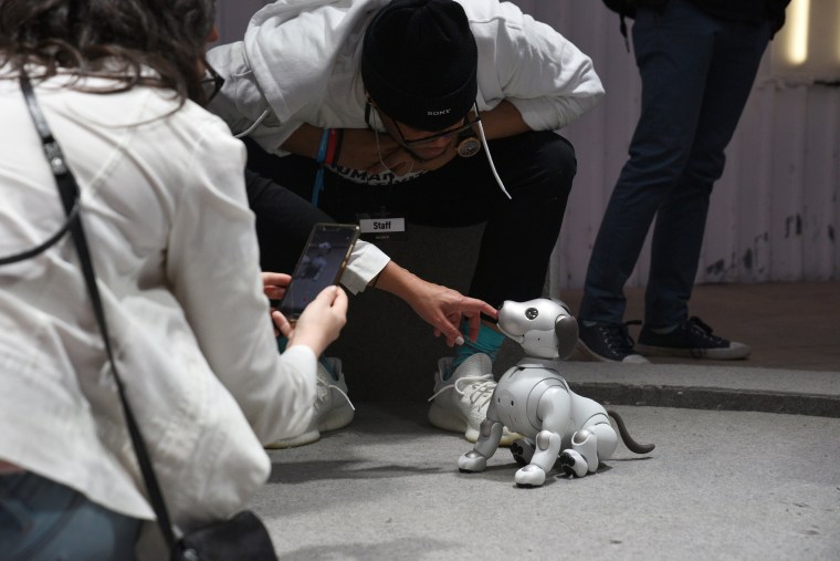Image: Attendees and workers play with Aibo at the South by Southwest (SXSW) conference and festivals in Austin, Texas