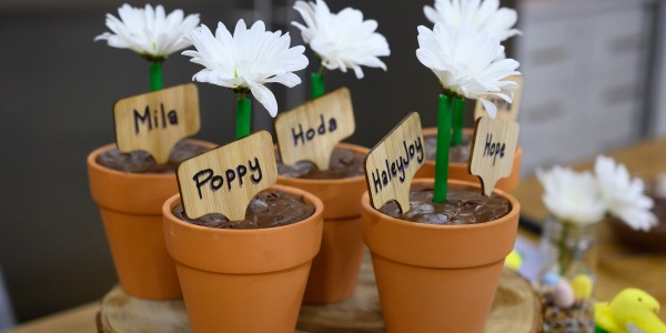 Flowerpot Brownies