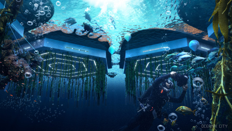 Below sea level, beneath the platforms, biorock floating reefs, seaweed, oysters, mussel, scallop and clam farming clean the water and accelerate ecosystem regeneration.