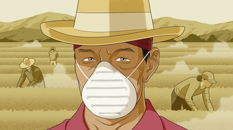 Illustration of a farm worker wearing a mask and sweating in the heat of a dusty, California farm.