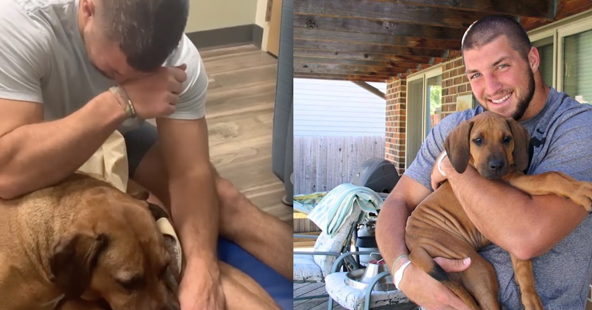 Tim Tebow mourning dog shows complicated grief of pet loss