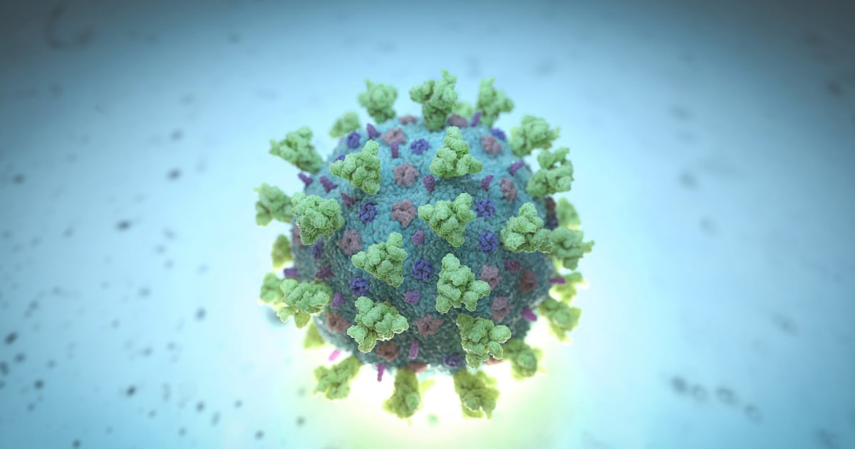 Coronavirus updates live: U.S. death toll rises to 6 as South Korea declares 'war' on coronavirus