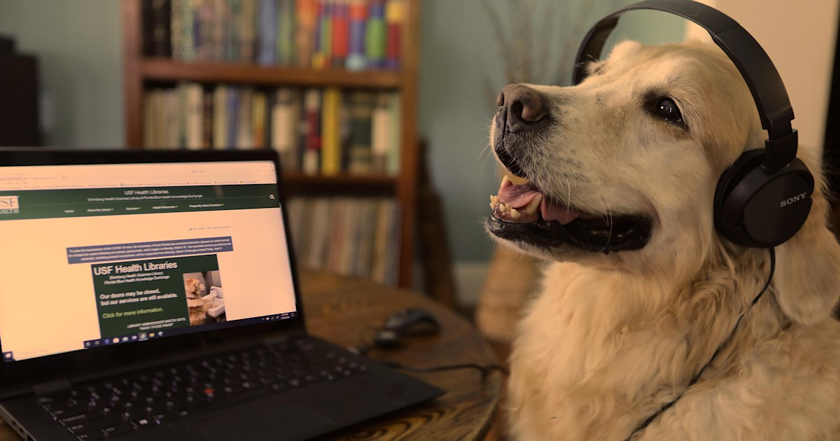 Therapy dogs spread cheer through virtual volunteering