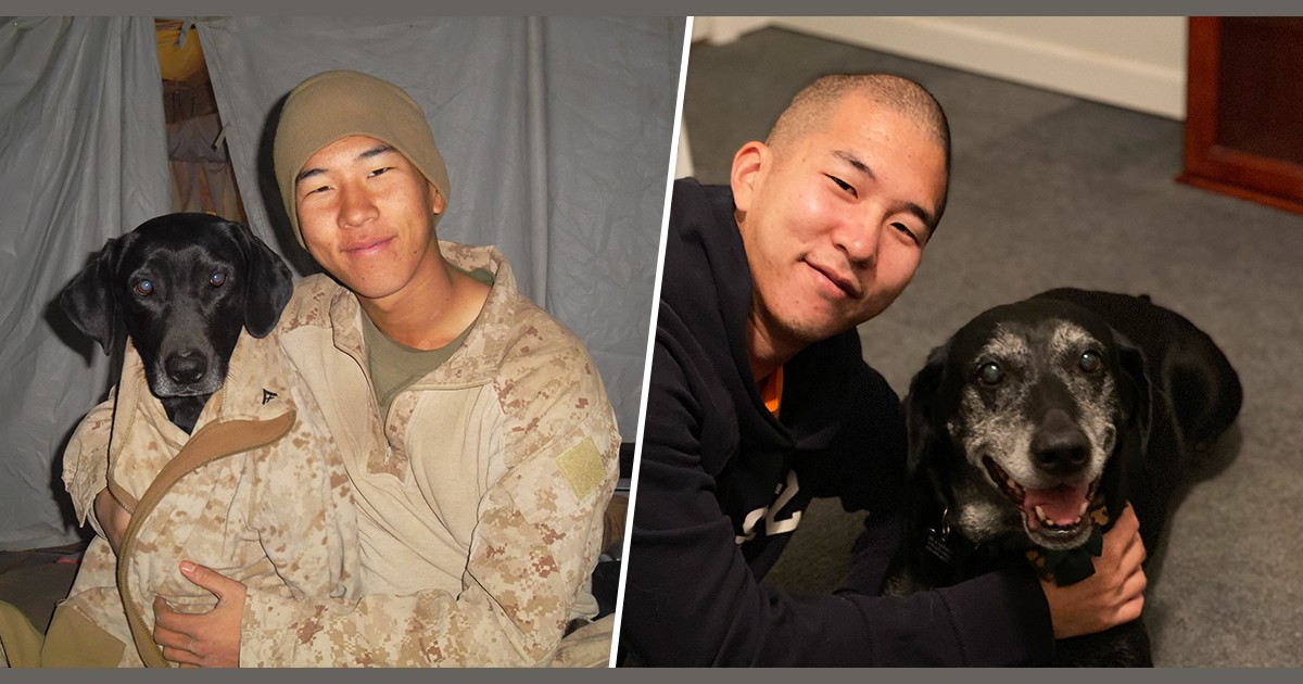 Marine veteran adopts dog who saved his life in Afghanistan