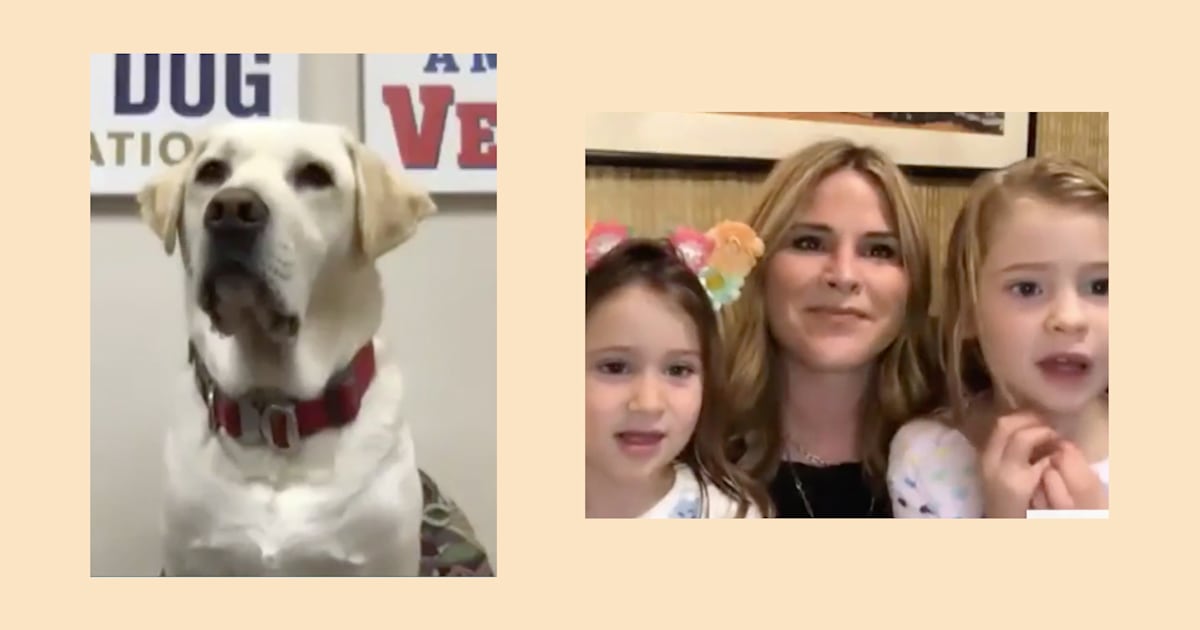 Jenna and her daughters reunite with Sully the service dog: 'I want to hug you'