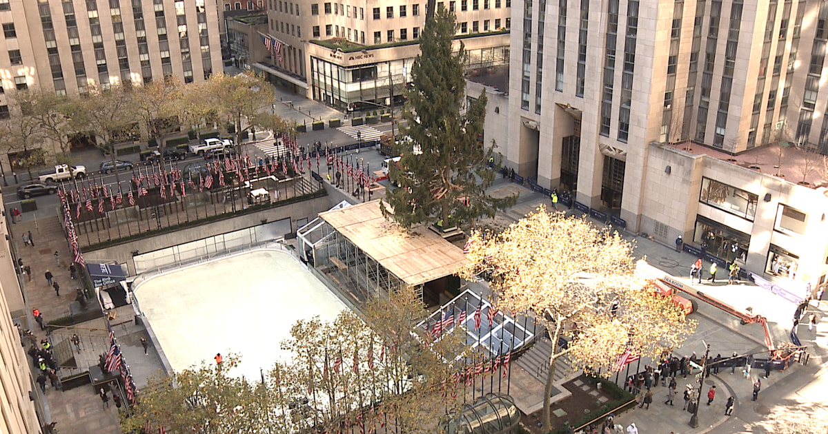 2020 Rockefeller Center Christmas tree arrives in New York City