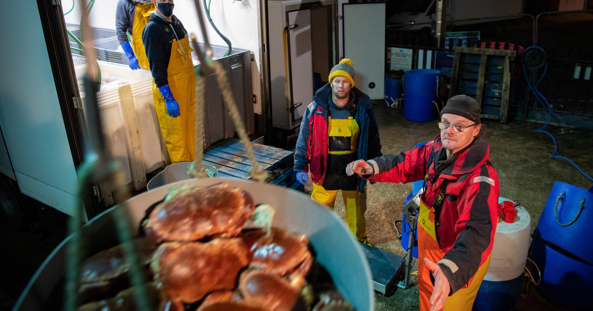 They voted for Brexit.  Now many British fishermen feel betrayed.