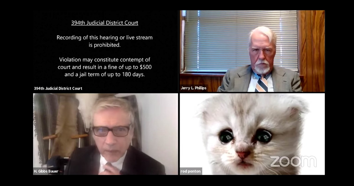 'I'm not a cat': Lawyer accidentally uses Zoom kitten filter in virtual court
