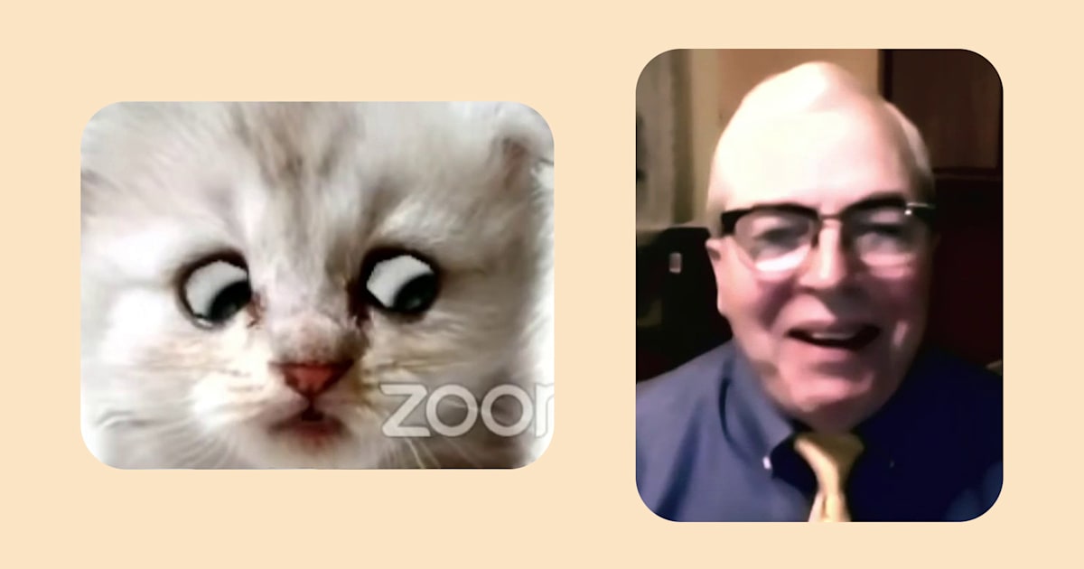 The man behind the meow! Meet the 'cat lawyer' who went viral after Zoom mishap