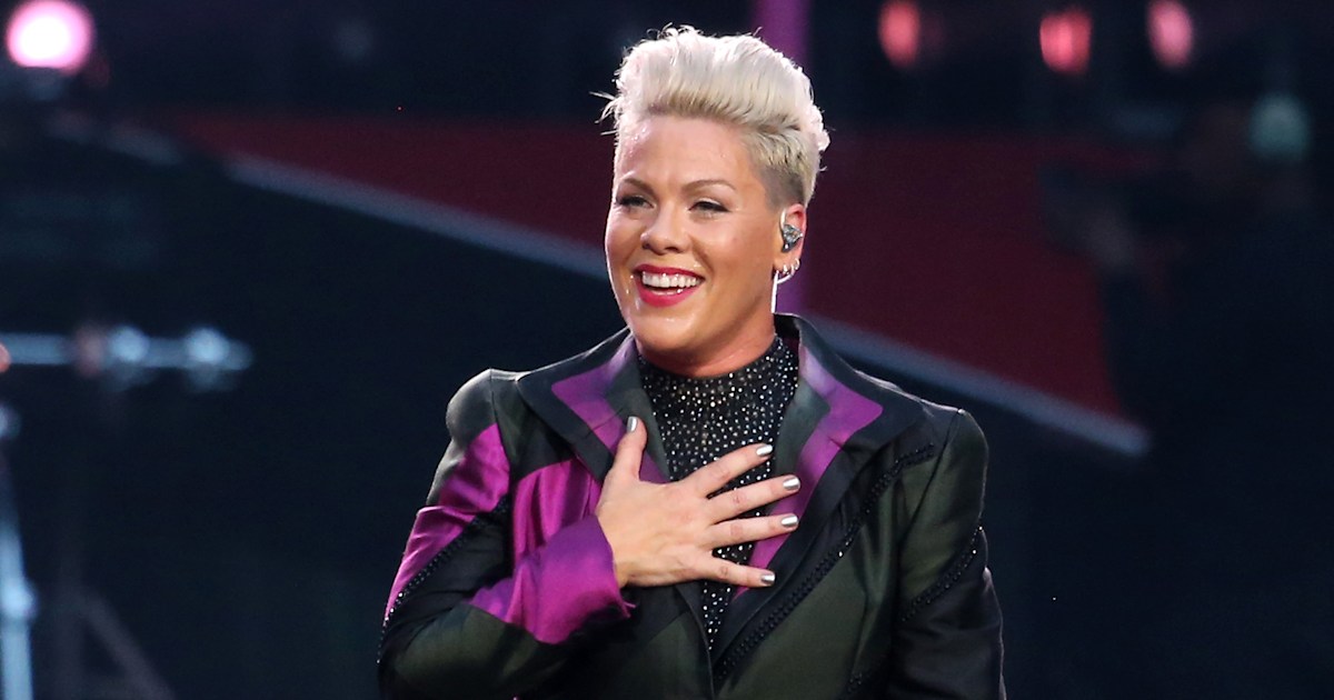 Pink introduces new puppy with adorable family photo